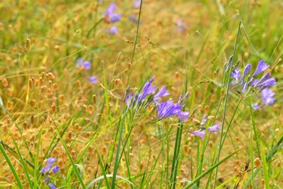 DSC_6831 (Large).JPG